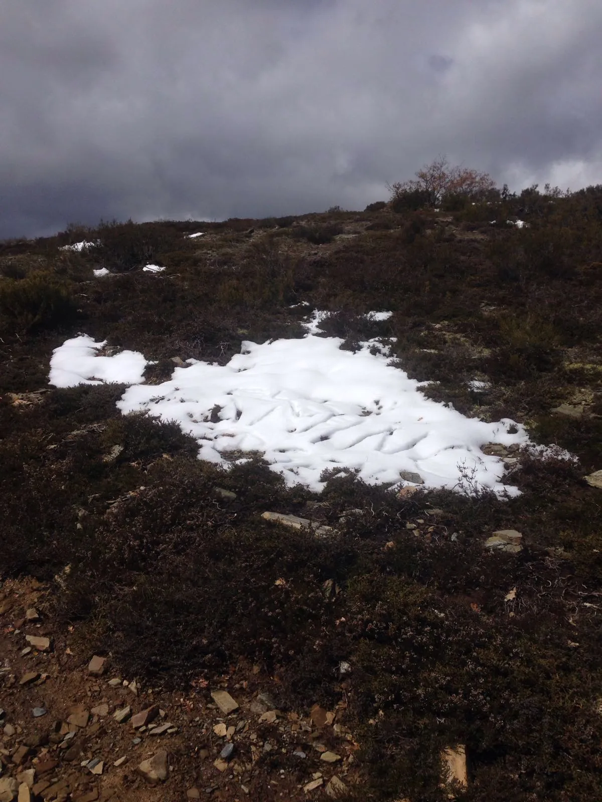 Camino in de sneeuw