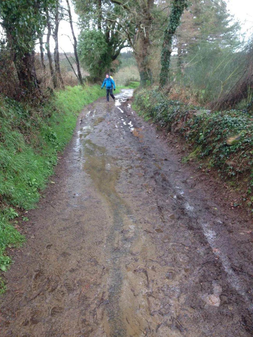 Camino verandert in een bergbeek en/of modderpoel.