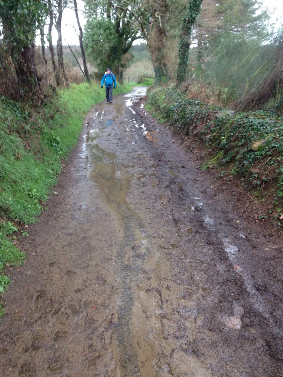 Camino verandert in een bergbeek en/of modderpoel.