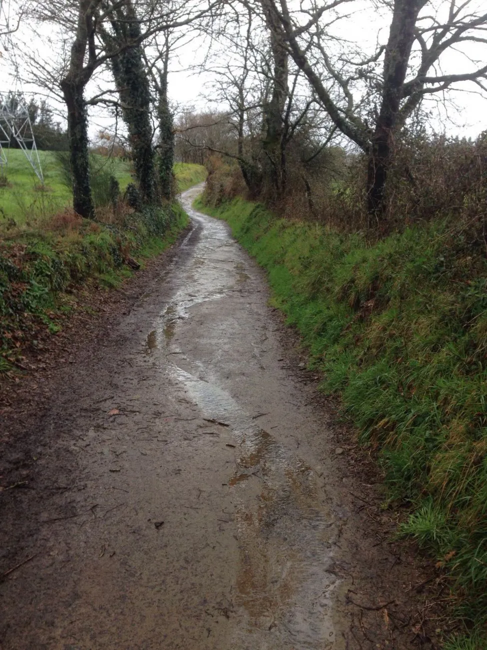 Camino verandert in een bergbeek en/of modderpoel.